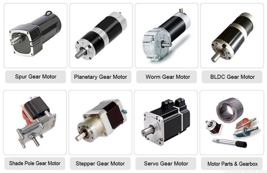 What steps should be followed to choose a PM stepper motor