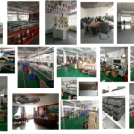 China Factory Manufacturer DC Motor Brushless Brush DC Motor Gearbox Servor Micro Electric Motor